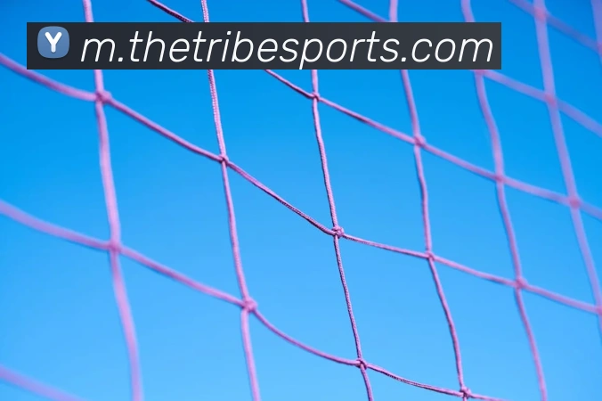 体育下注APP 体育赛事宣传图